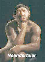 Neandertaler