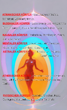 Wichtige Fakten über Körper