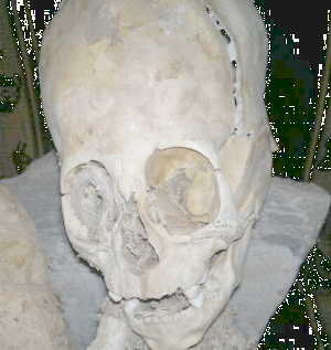 Erdzeitalter